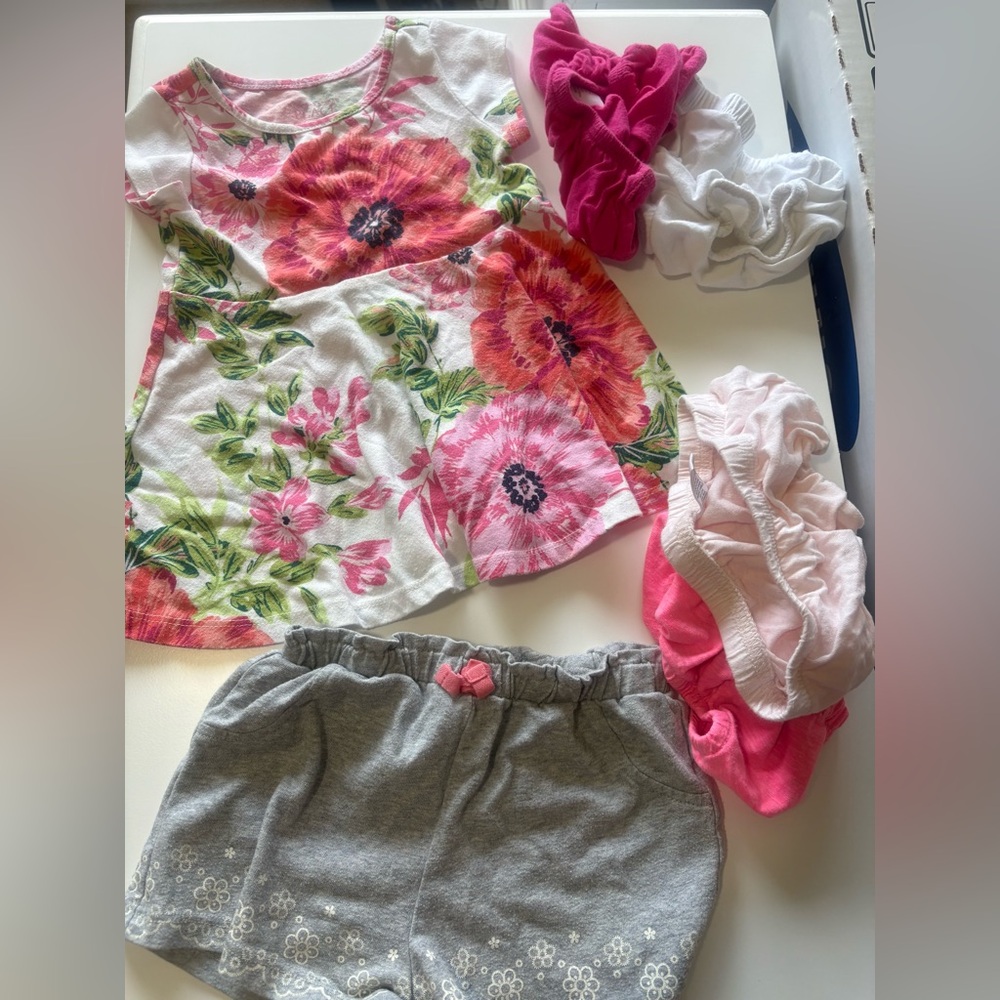 Assorted Baby Girl 9-24 month clothes